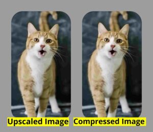 Upscaler | Webcom Solutions | Convert Low-Resolution Images to High Resolution 